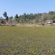 Elephant Conservation Center