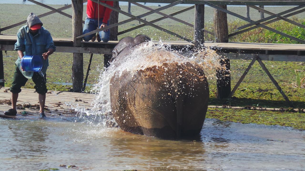 Elephant Conservation Center