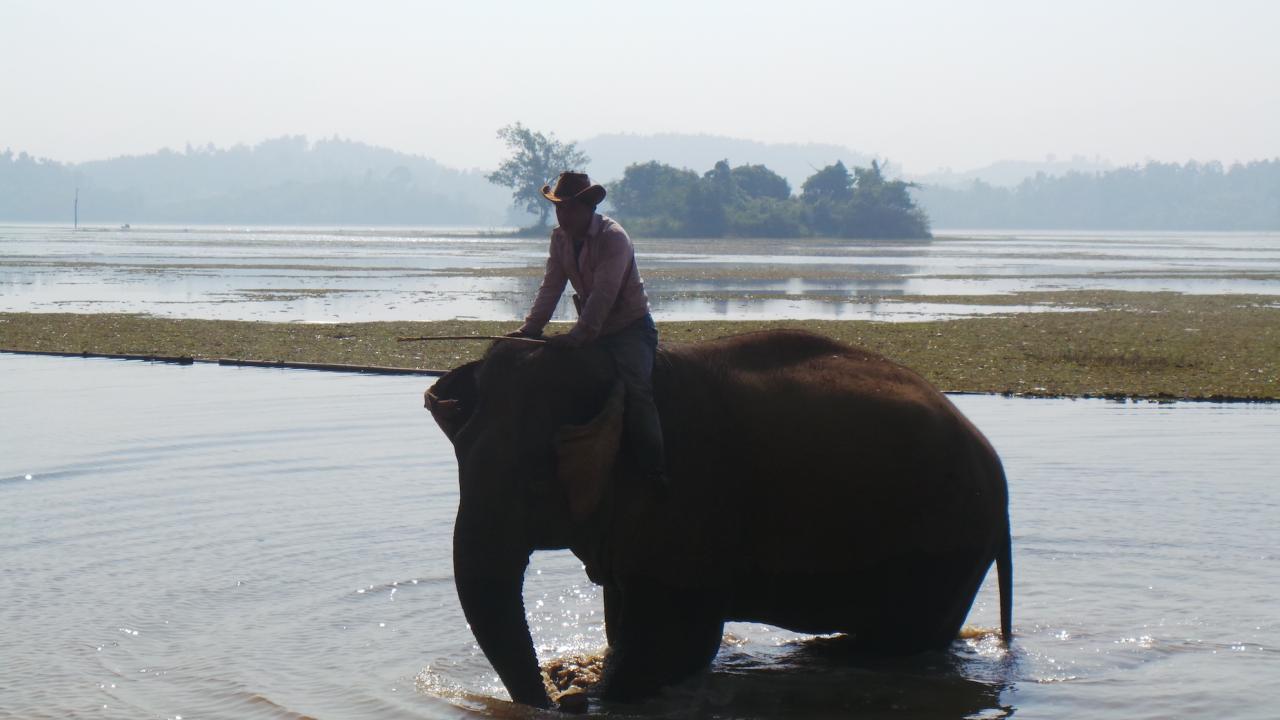 Elephant Conservation Center