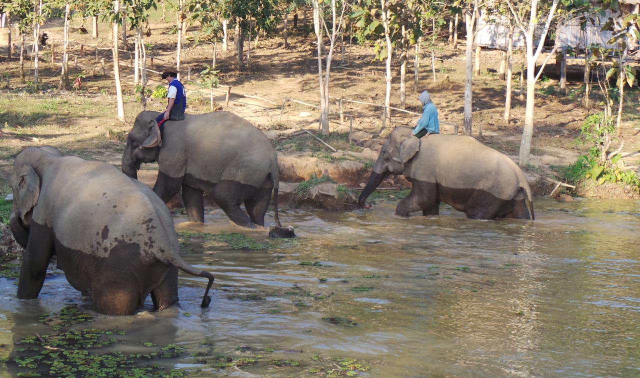 Elephant Conservation Center