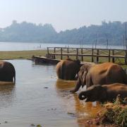 Elephant Conservation Center