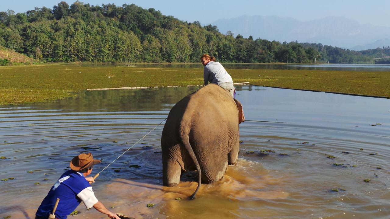 Elephant Conservation Center