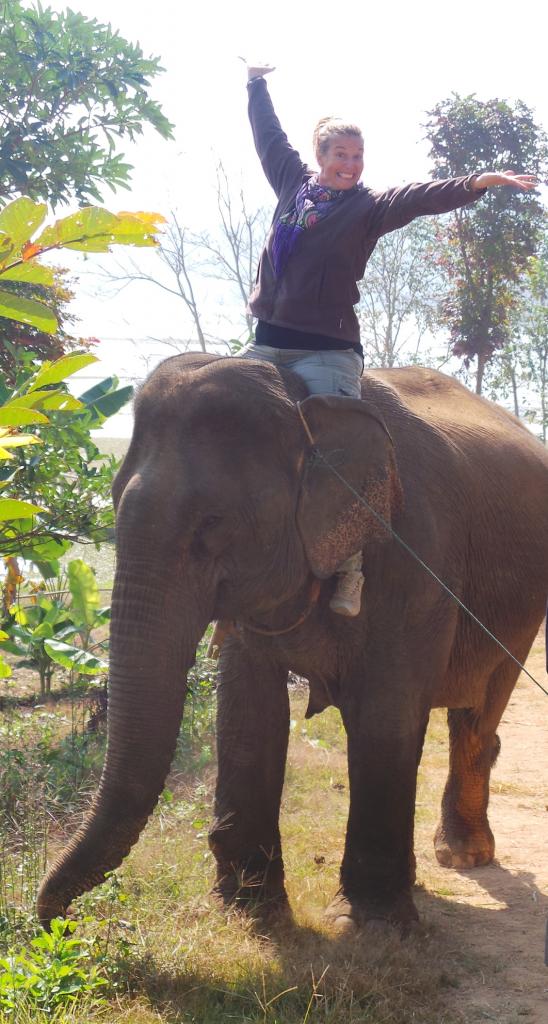Elephant Conservation Center