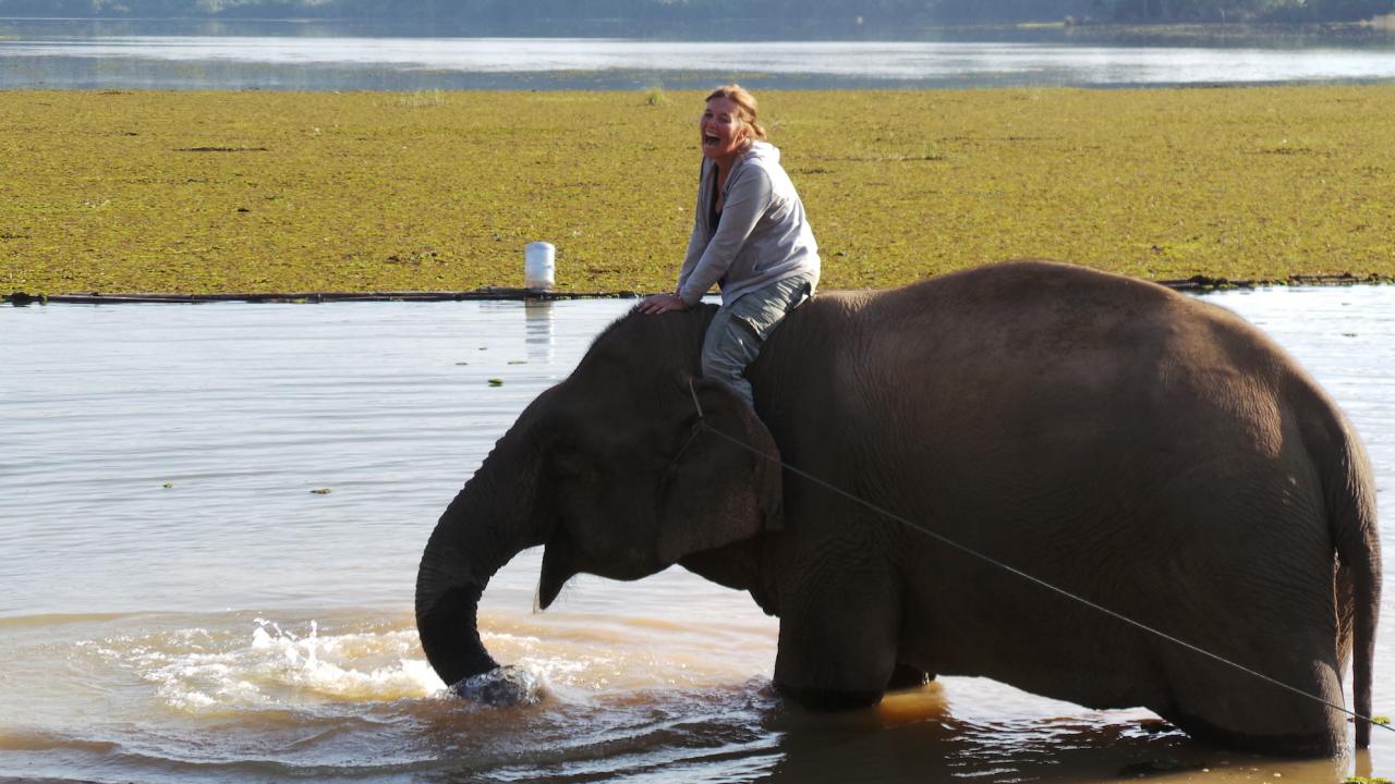 Elephant Conservation Center