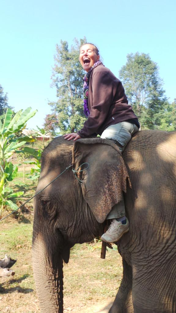 Elephant Conservation Center
