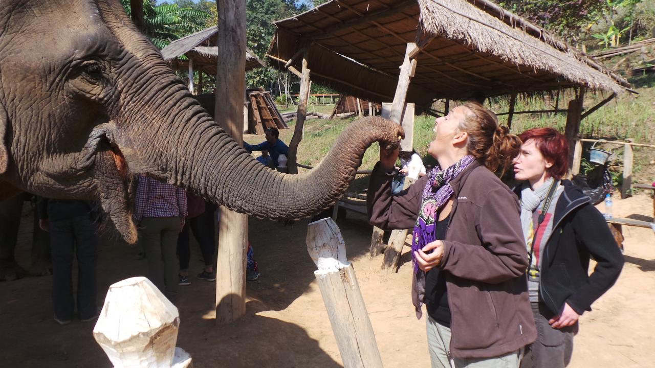 Elephant Conservation Center