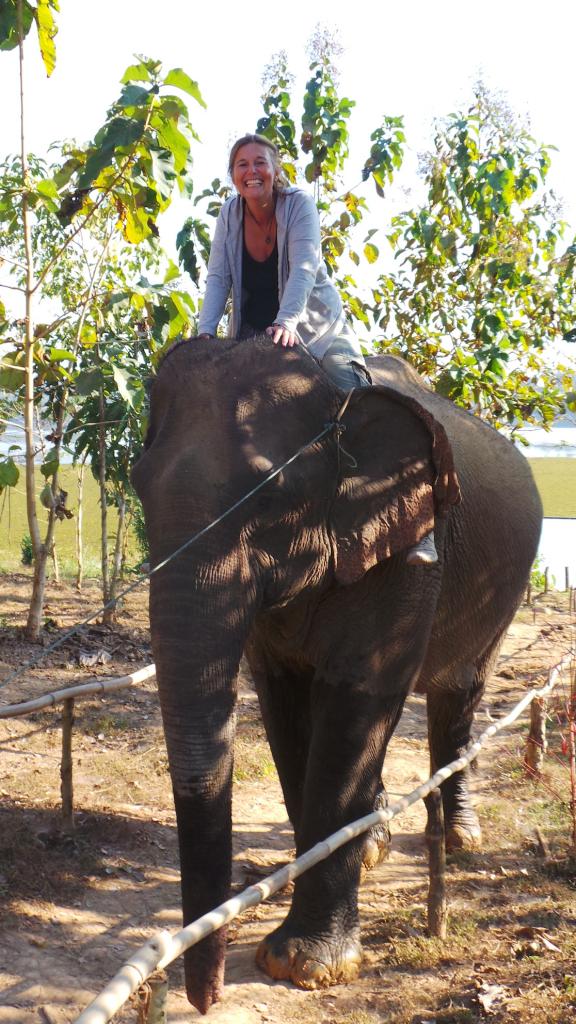 Elephant Conservation Center