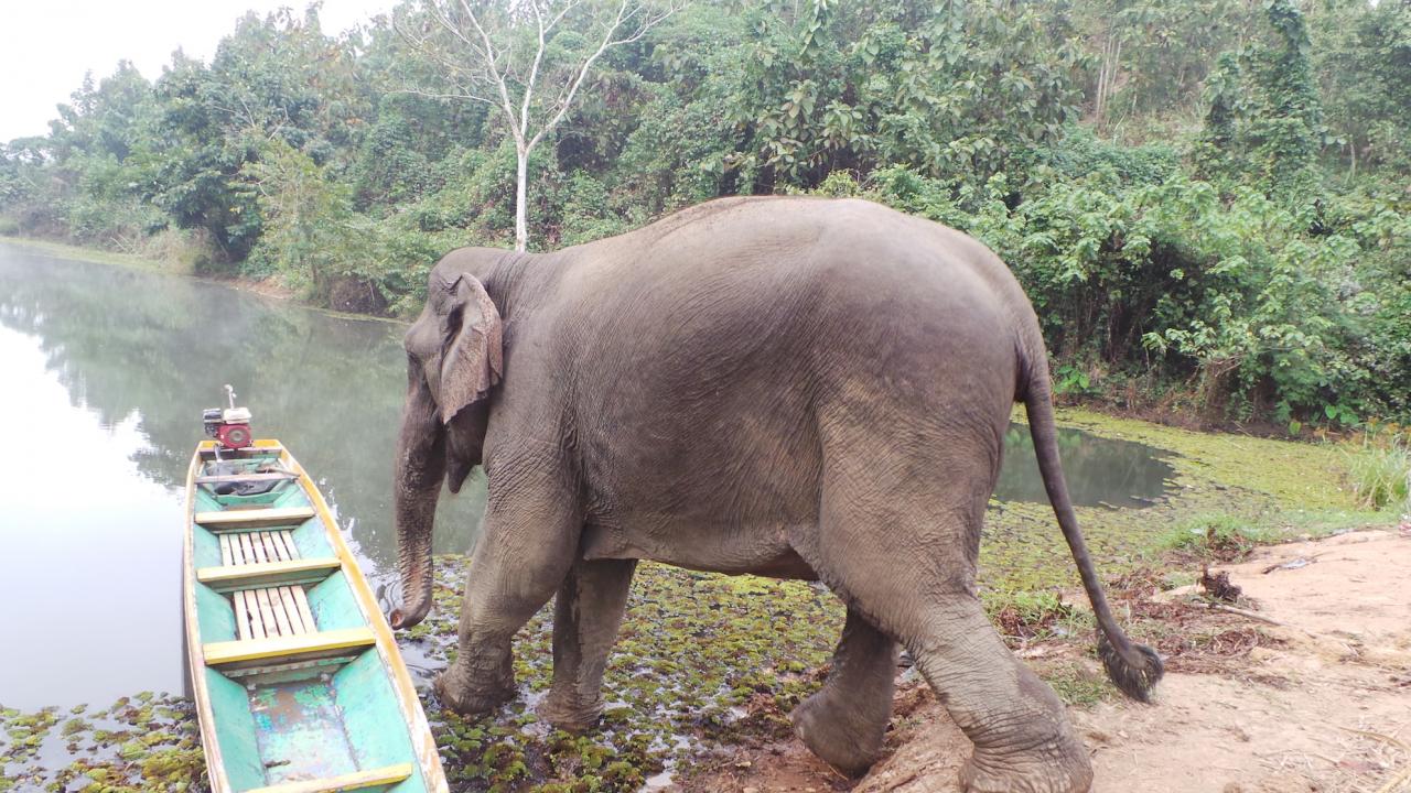 Elephant Conservation Center