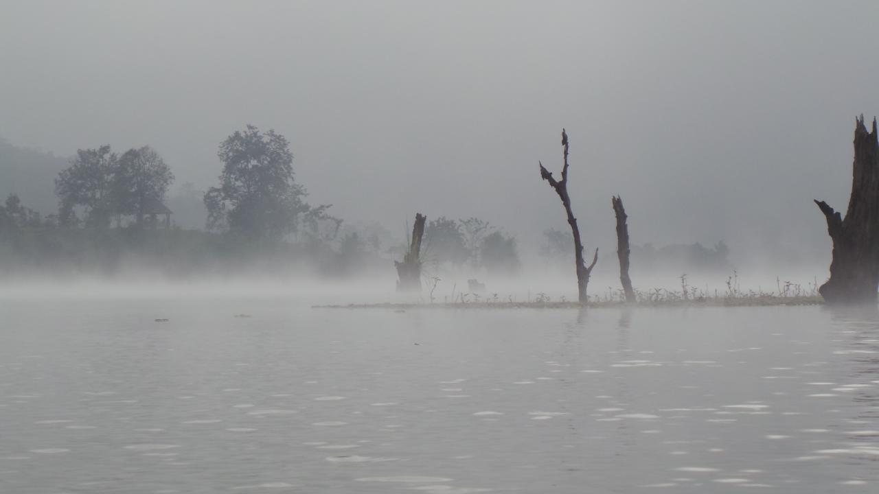 Elephant Conservation Center