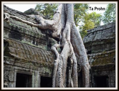 Angkor 41