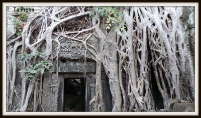 Angkor 63