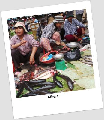 Battambang 25 001