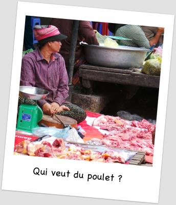Battambang 60 001