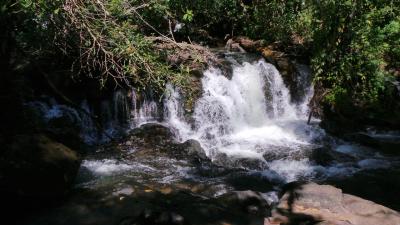 Cascade 5