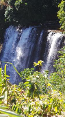 Cascade 6 v