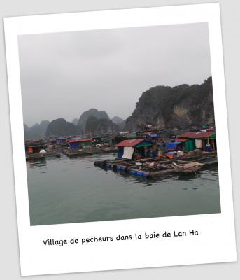 Halong b 2