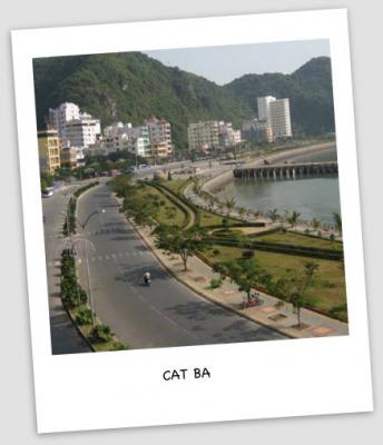 Halong b 37