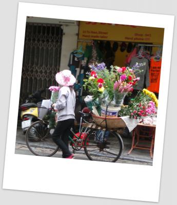 Hanoi 6