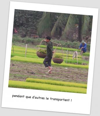 Tam coc 25