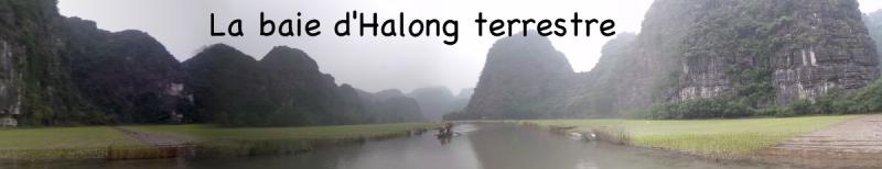 Tam coc 29