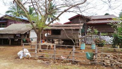 Village 4