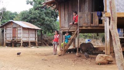 Village 7